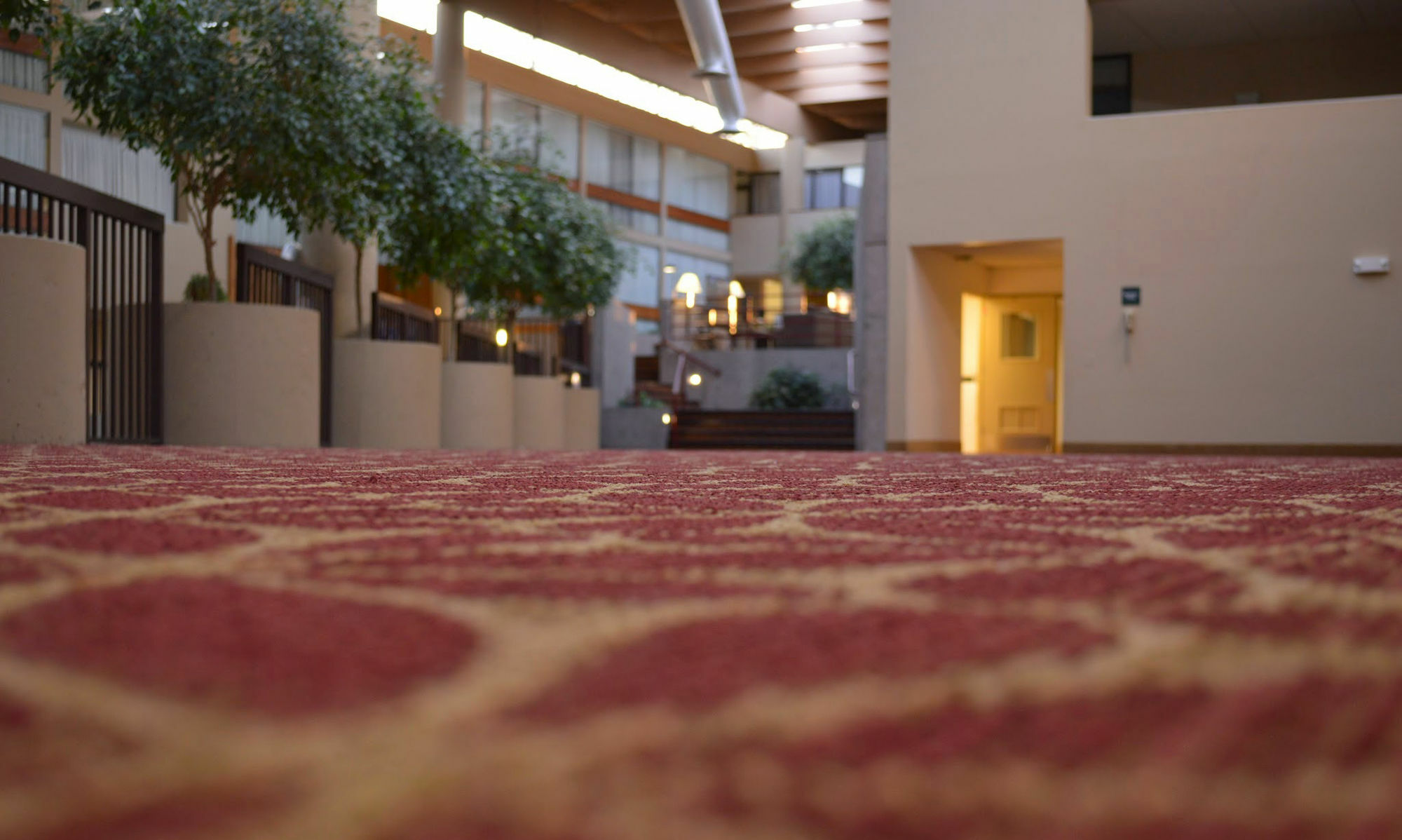 Hotel Muscatine Buitenkant foto